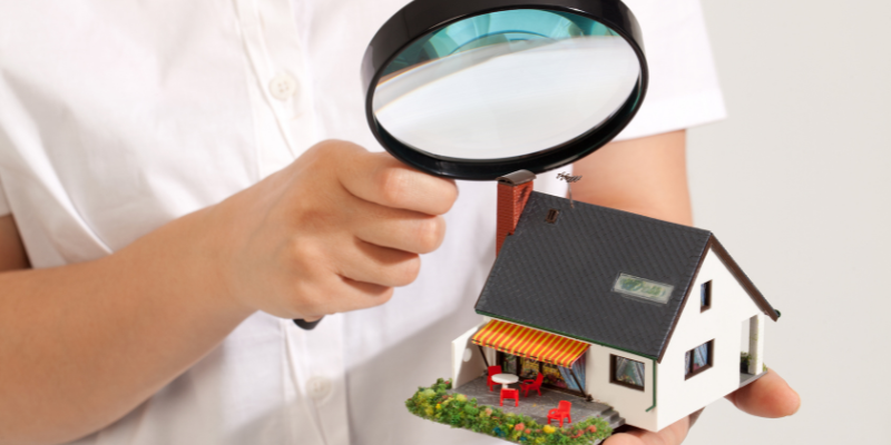 building and pest inspection cost