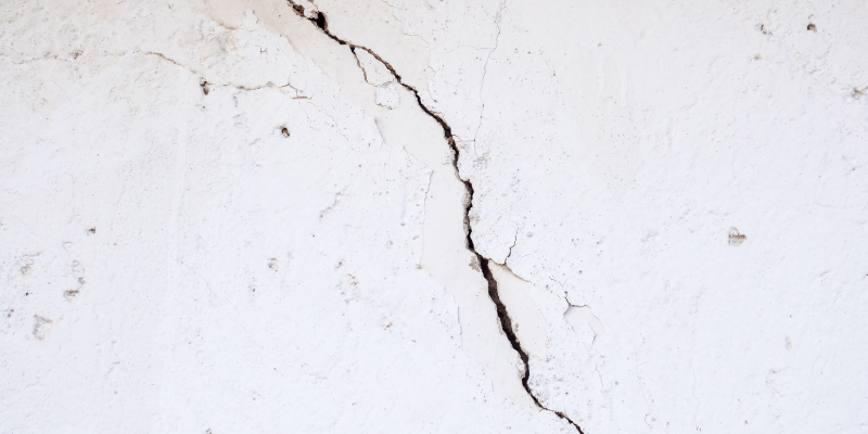 Defects found in building and pest report