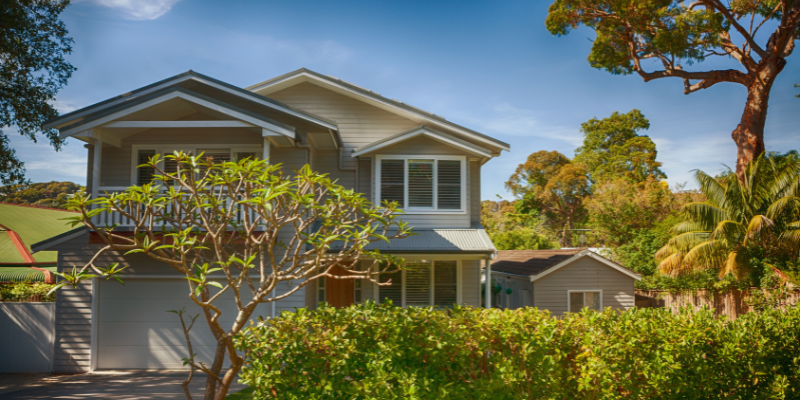 building and pest queensland