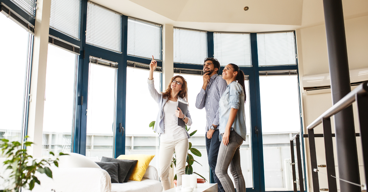 explaining pre purchase building and pest reports