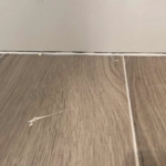Scratches on flooring