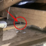 Gallery - Ceiling Delamination from nails coming loose from timber batting