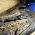 Gallery - Damage to timber in ceiling void