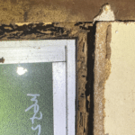 Gallery - Termite Damage