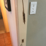 Gallery - termite damage to frame