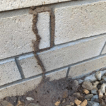 Gallery - termite mudding on exterior